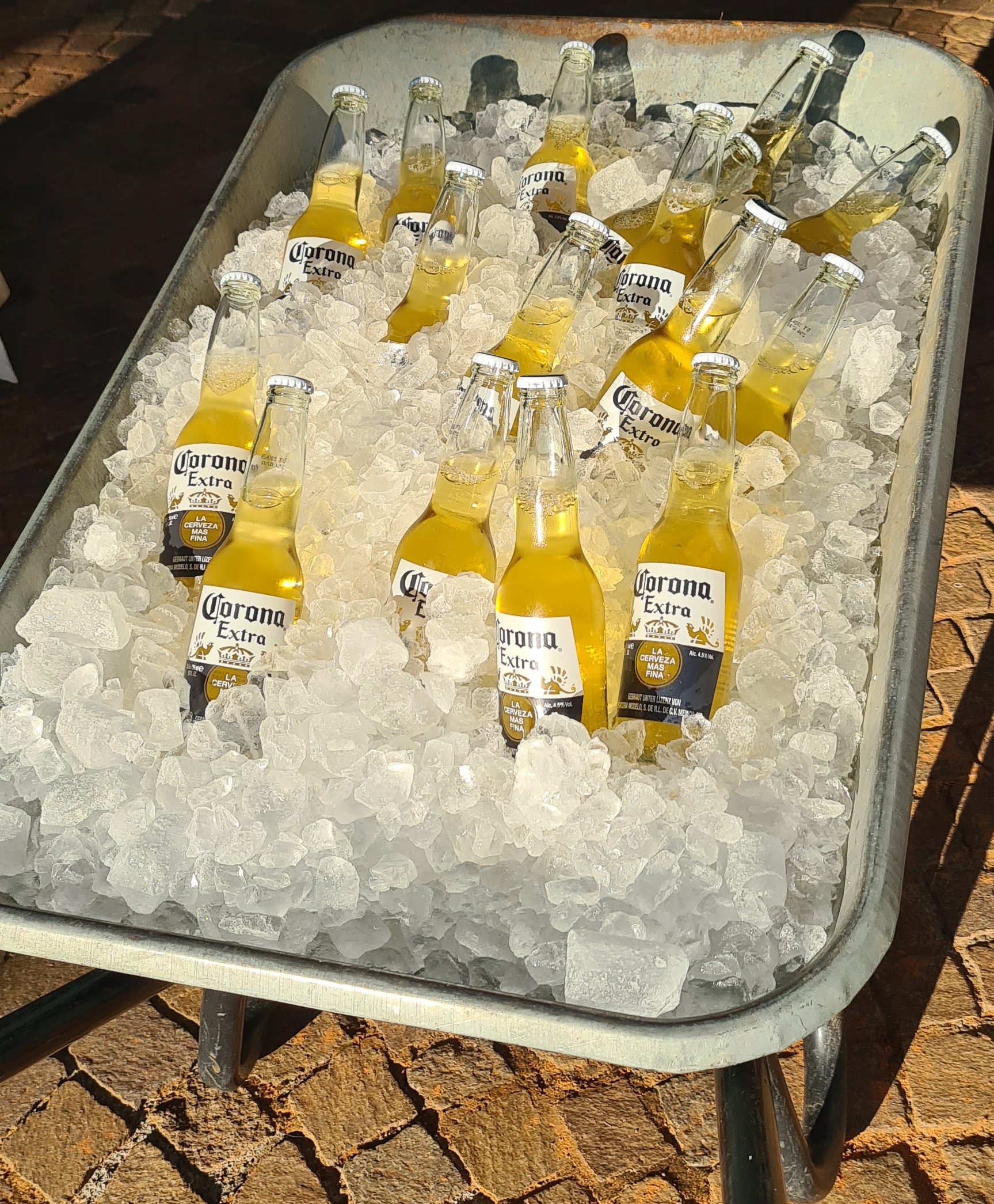 K&uuml;hl und originell pr&auml;sentiert