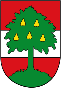 TC Dornbirn