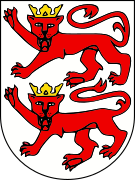 TC Nenzing